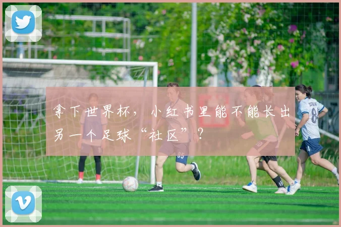 拿下世界杯，小红书里能不能长出另一个足球“社区”？