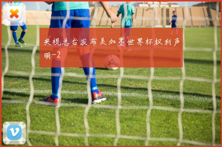 央视总台发布美加墨世界杯权利声明